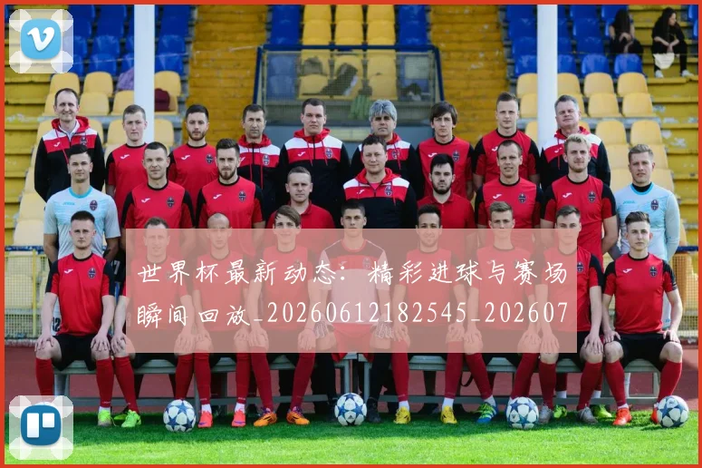 世界杯最新动态：精彩进球与赛场瞬间回放_20260612182545_20260715191412